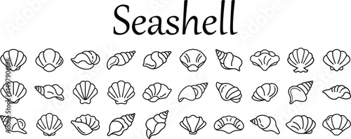 30 Set of seashells outline icon 
