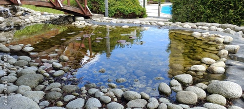 beautiful view of nature scene