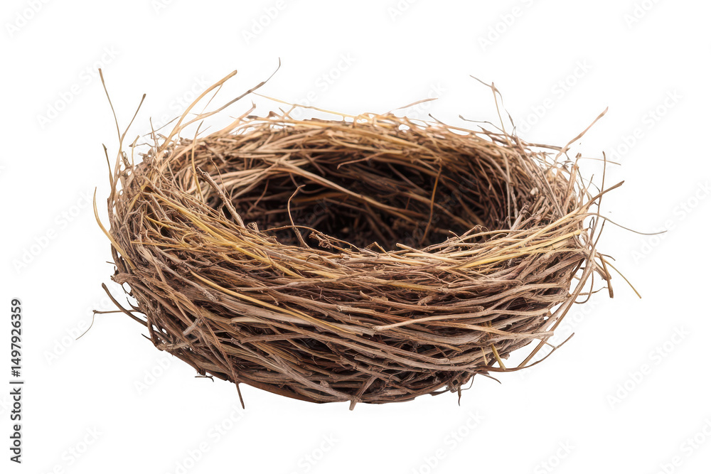 Obraz premium Bird nest woven twigs empty nesting natural wildlife nature spring animal home isolated on transparent background