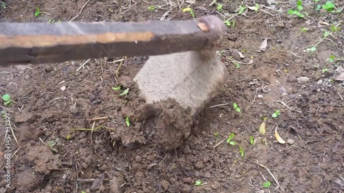 Farmer Hoeing Moist Fertile Soil in Garden