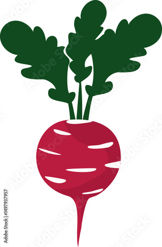 Red radish