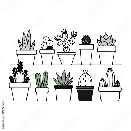 Collection of Cute Cactus and Succulent Plants in Pots