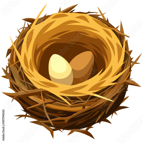 Bird nest with two eggs inside
