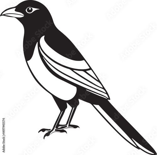 Beautiful hand-drawn magpie bird in black and white perfect for nature, wildlife, or tattoo designs