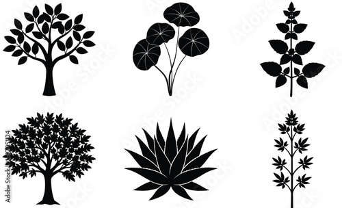 Medicinal Plant Silhouette Set – Vector Collection Featuring Holy Basil, Neem Tree, Gotu Kola, Aloe Vera, Green Chirayta, and Bael Tree for Herbal and Botanical Design Projects