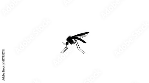 Mosquito vector logo, simple flat design, white background, png, transparent