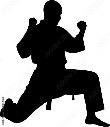 Martial Artist Kick Silhouette with Geometric Background"