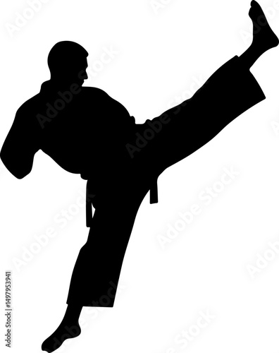 Martial Artist Kick Silhouette with Geometric Background"