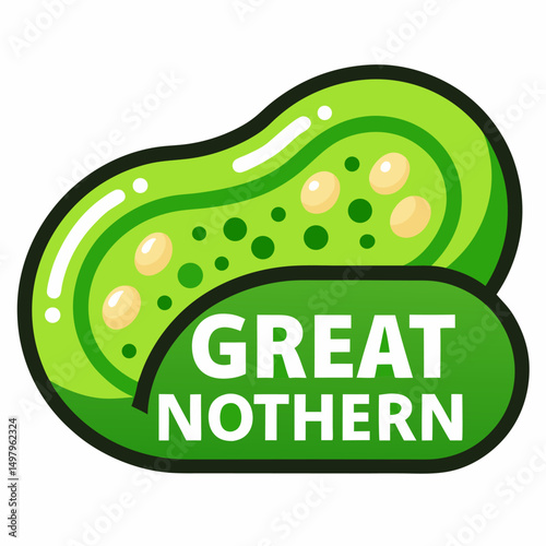 Great Northern Bean icon on white background 