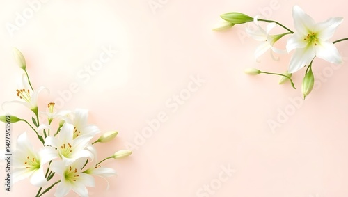 Elegant white lily flowers on pastel pink background for spring wedding invitation cards, copy space