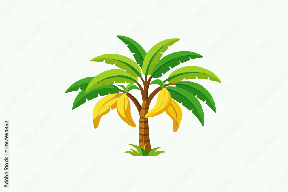 Obraz premium Banana tree
