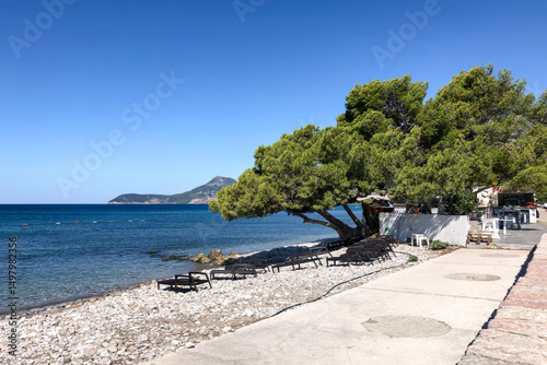 Fototapeta Naklejka Na Ścianę i Meble -  Sunny Mediterranean seafront with pebble beach, pine trees, and coastal promenade with sun loungers and a small cafe.