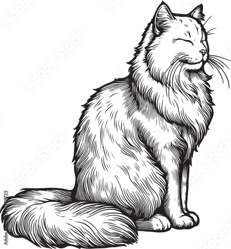 Long haired cat sitting detailed line art illustration

