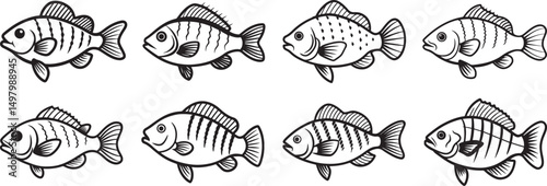 set of crappie fish line art, black outline, vector and illustration, coloring book page line art drawing