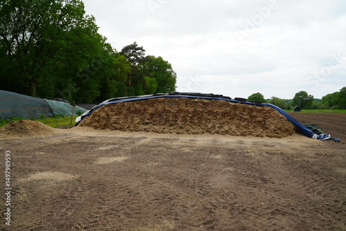 Open front of a maize silage pile, secured against rain with plastic sheeting. Village of Bordenau, Lower Saxony, Germany