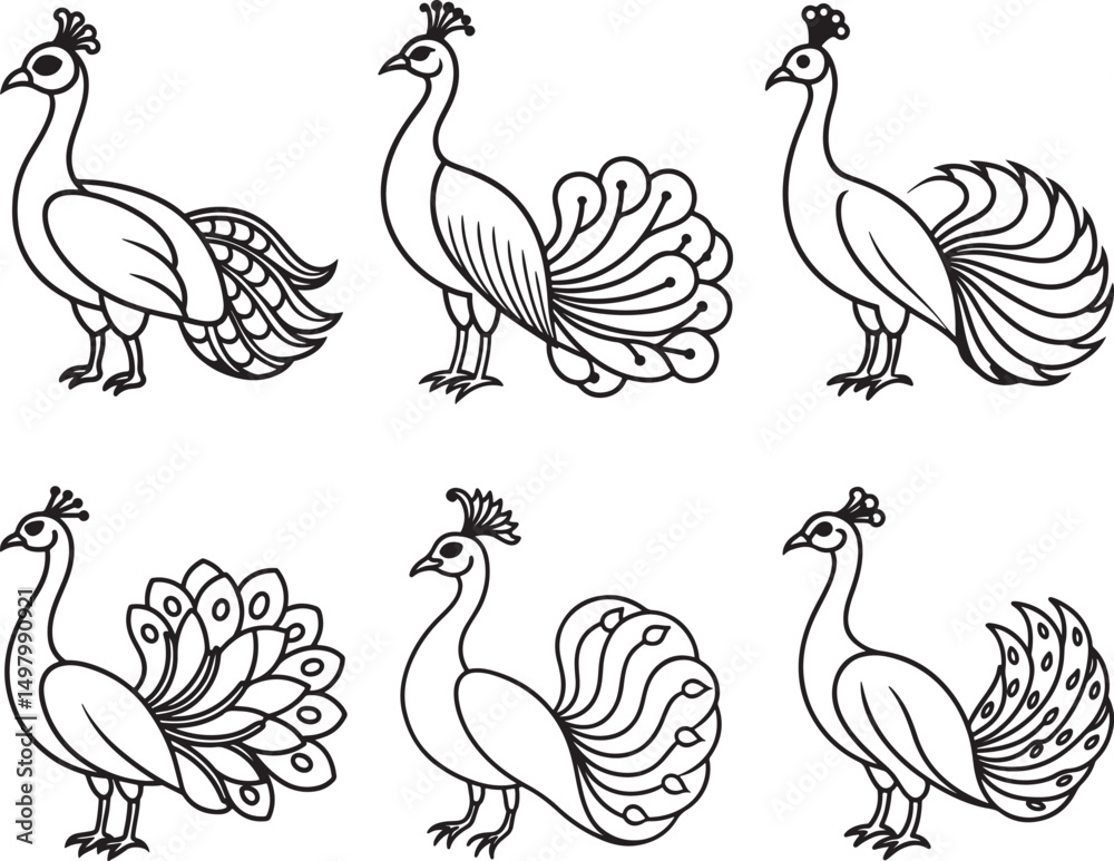 Fototapeta premium set of peacock line art, black outline, vector and illustration, coloring book page line art drawing