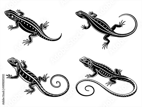 curly tailed lizard sihouette black vector bundle