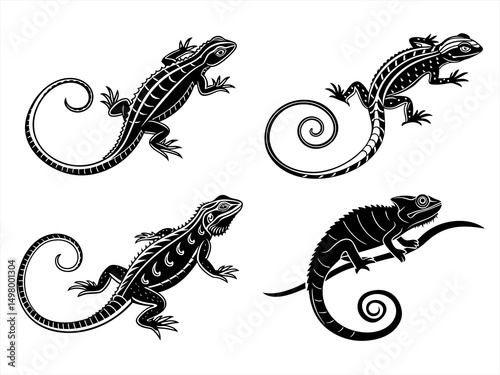 curly tailed lizard sihouette black vector bundle