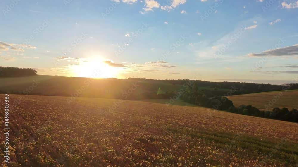 por do sol em paisagem com plantação 