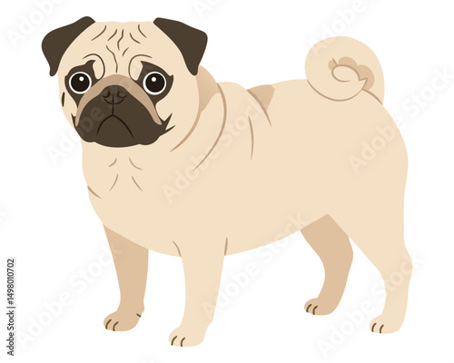 Cheerful Pug Illustration with Cute Expression and Distinctive Wrinkles and Curly Tail