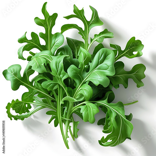 Fresh, Vibrant Arugula Leaves Ready for a Delicious Dish