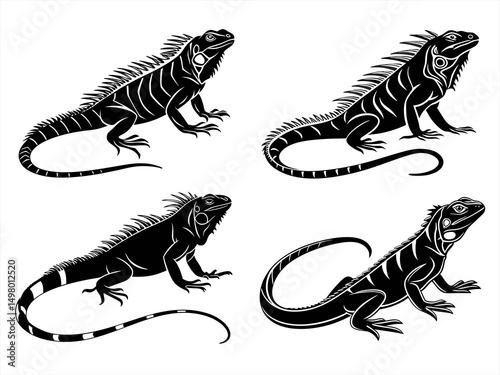 iguana sihouette black vector bundle