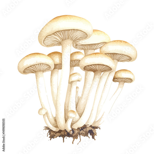 Cluster of Delicate CreamyBeige Mushrooms with Detailed Cap Structures