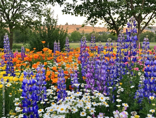 A field of flowers with a mix of colors including yellow, orange, blue