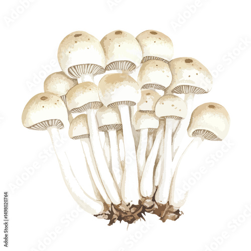 Cluster of Delicate White Mushrooms with Brown Spots and Textured Caps