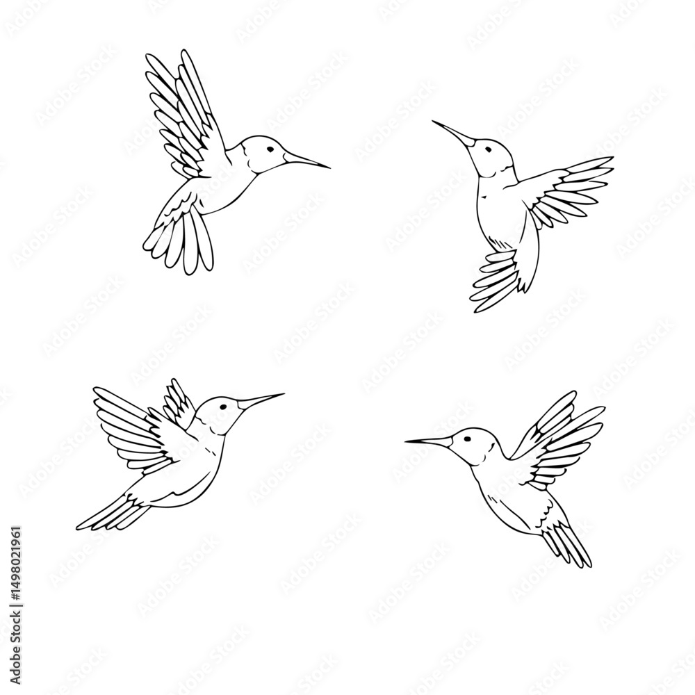 Fototapeta premium Hummingbird editable vector set 6
