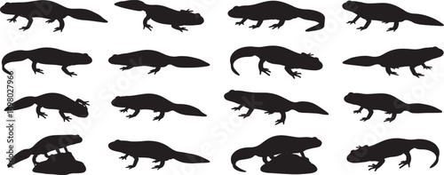 Salamander silhouette vector seamless pattern amphibian animal wildlife nature background design graphic art  100