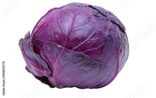 Large purple cabbage with a green leaf on top