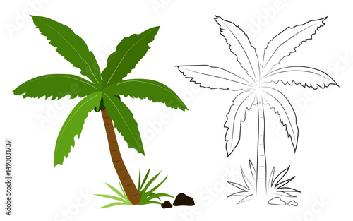 hand drawn coconut tree simple flat art design and black outlines design template.summer vacation clip art vector illustration.