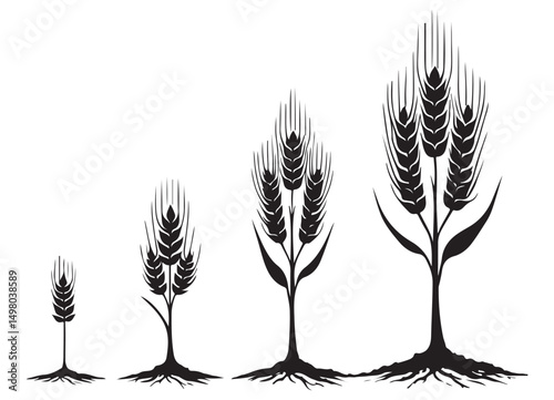 Black Silhouette Stages of Growing Wheat Vector Illustration Template
