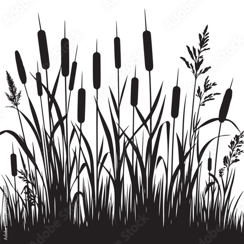 Cattails Silhouette Vector Graphic in a Marsh Setting