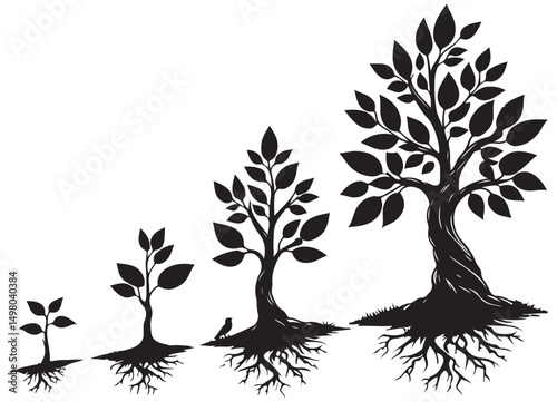 Growth Stages of a Tree Silhouette from Seedling to Mature Plant