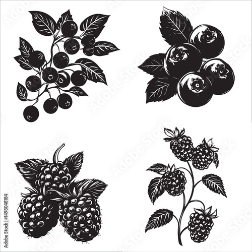 image of blueberry and blackberry fruits, set, logo, black and white vector graphics
