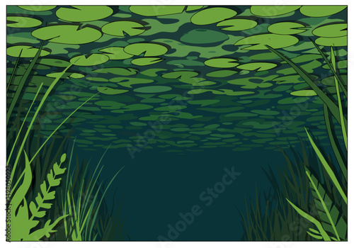 Underwater scene with lily pads and aquatic plants in green hues  