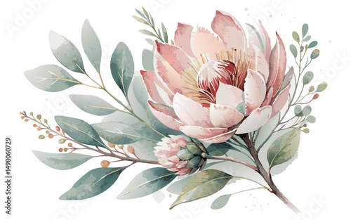 Watercolor illustration of a pink protea flower with leaves