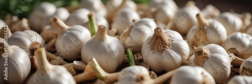 Neatly arranged fresh garlic bulbs, vibrant aroma ,  allium,  vegetable,  harvest