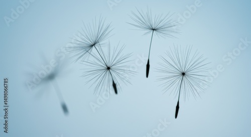 Dandelion Wishes: Seeds of Hope and Freedom - Delicate dandelion seed heads, softly floating on a light blue background. Symbolizing: hope, freedom, new beginnings, peace, tranquility