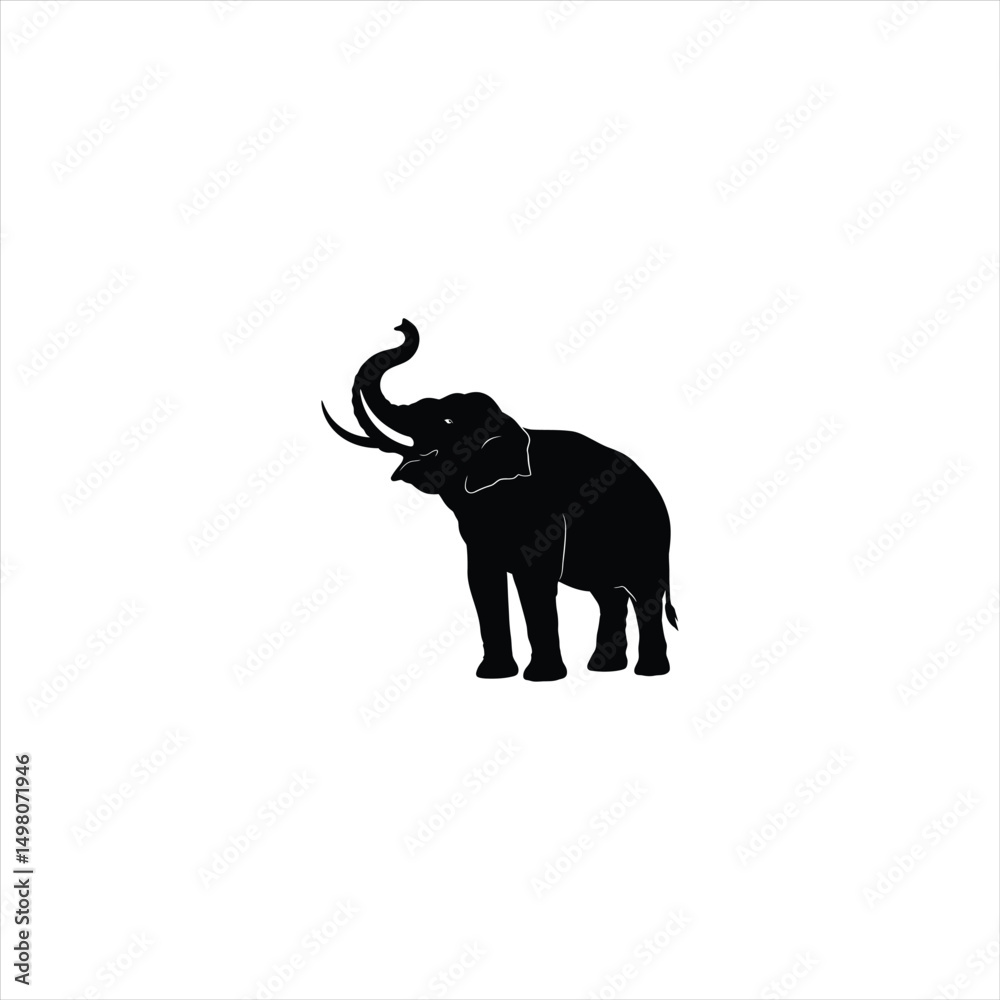 Obraz premium Adobe Illustrator Artwork