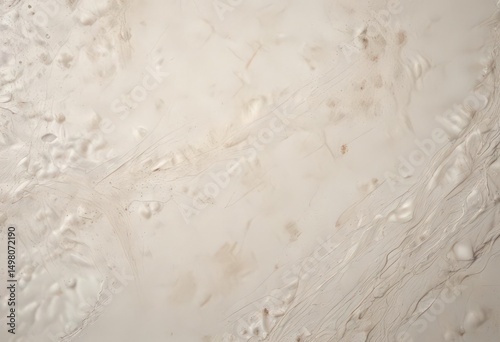 Deeply textured, off-white paper with mottled discoloration, scroll, photo, backdrop