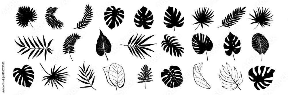 Black grass and plant silhouettes with nature and floral design elements Black grass and plant silhouettes with nature and floral design elements