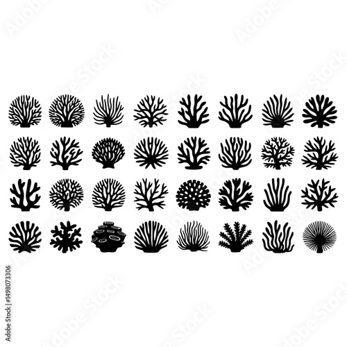 set of floral design elements illustration