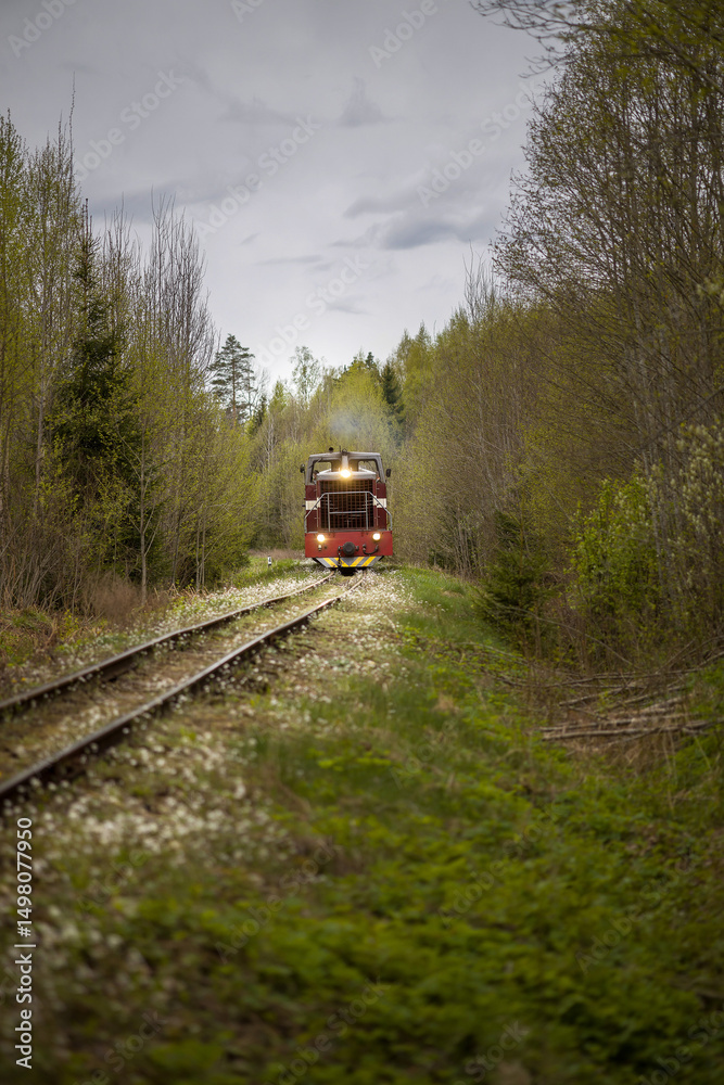 Fototapeta premium Train travels along a secluded railway surrounded by lush greenery in a tranquil forest setting