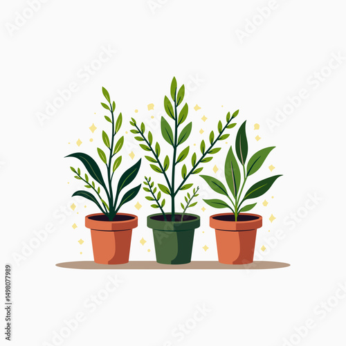 Three potted plants illustration with green leaves and brown pots on a white background, vector art