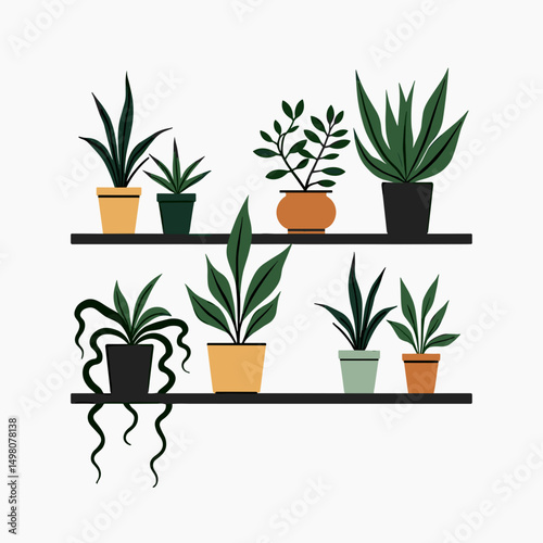 Collection of Potted Plants on Shelves Illustration, Home Decor and Indoor Gardening Concept