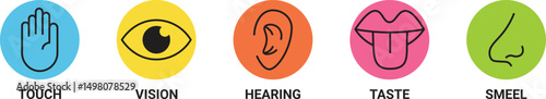 Human sense icons. Five human senses icons. Vision smell hearing touch taste senses filling, Vector illustration eps 10 blue hand icon, eye icon, ear icon, tongue icon, smell icon
