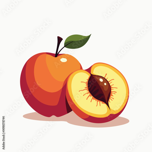 Fresh Peach Fruit Illustration with Halved Peach Showing Seed, Isolated on White, Vector Graphic